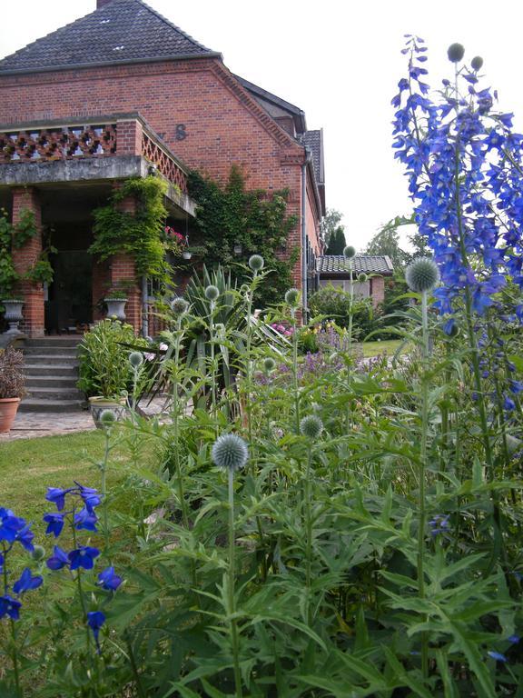 Gutshaus Daemelow Tussen Schwerin En Wismar エクステリア 写真